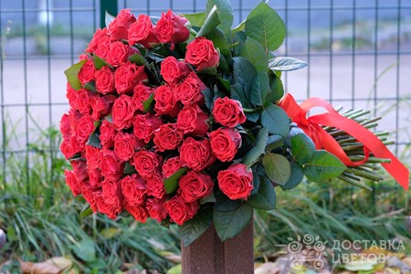 Букет из 51 красной розы "Эль Торо"